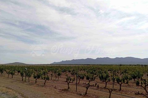 Finca i Yecla, Murcia, Yecla - € 350.000 | Ref: SF0507 - foto 1